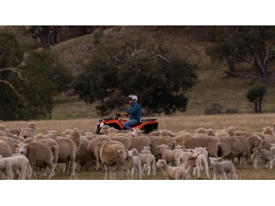 CFMOTO CForce 520 L | ATV 500 cc 38 CV con 2 plazas, 4x4, CVT y transmisión por cardán